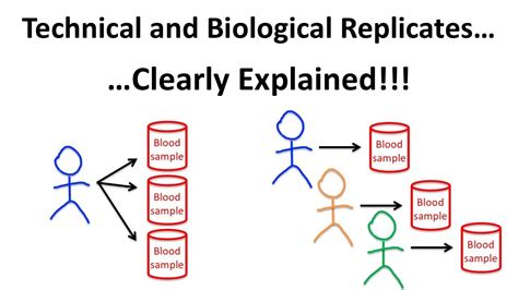 biological replicate|replicate vs duplicate experiments.